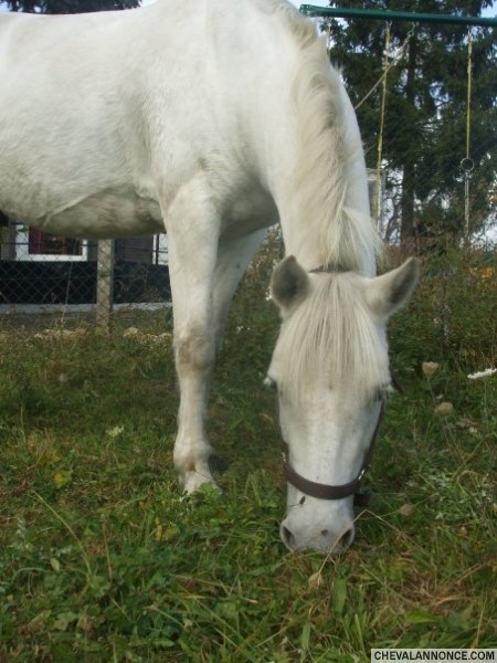 Photo de profil de eamsimon