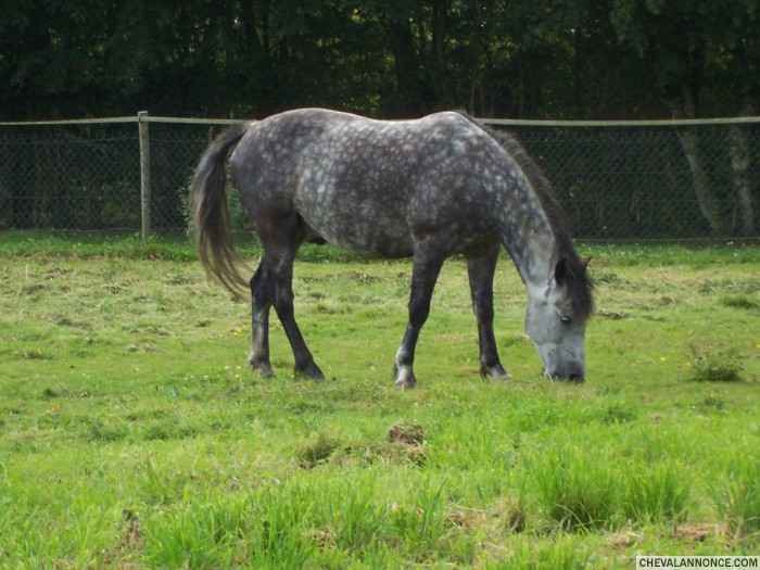 Photo de profil de superdada