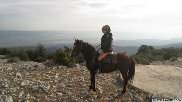 Photo de profil de cha.bp.tourisme