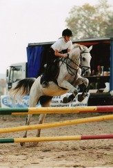 Photo de profil de steph0301