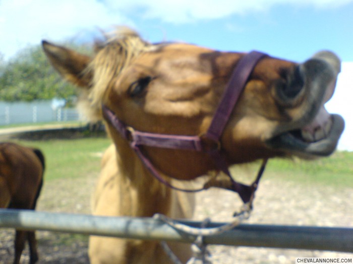 Photo de profil de cheche97118