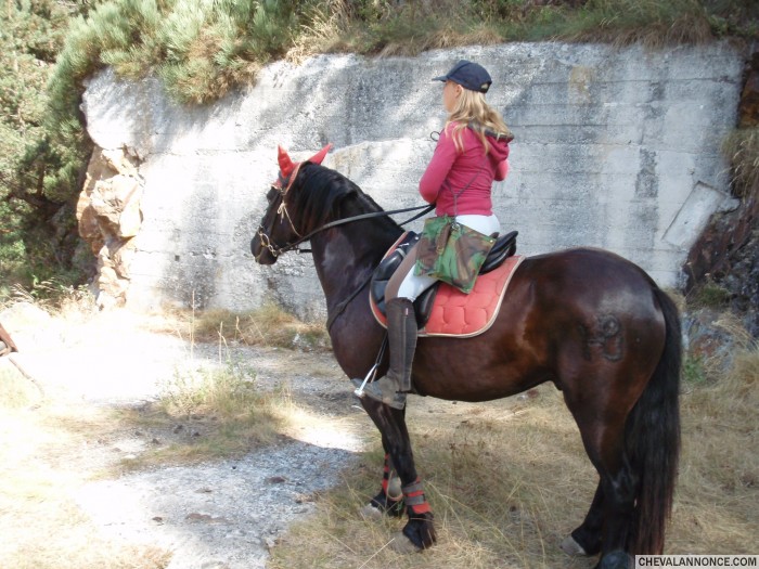 Photo de profil de ontxa