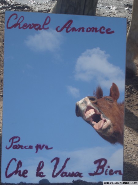 Photo de profil de ramboo