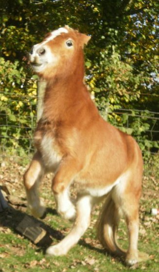 Photo de profil de texas61