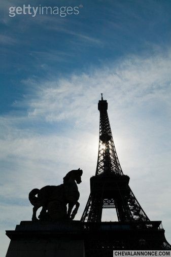 Photo de profil de zebraj