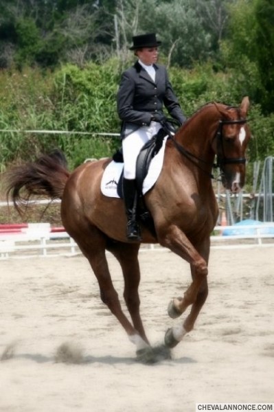 Photo de profil de mounieu