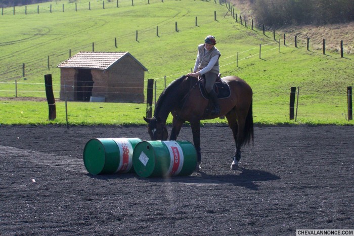 Photo de profil de quintusz