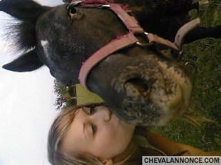 Photo de profil de juju6294