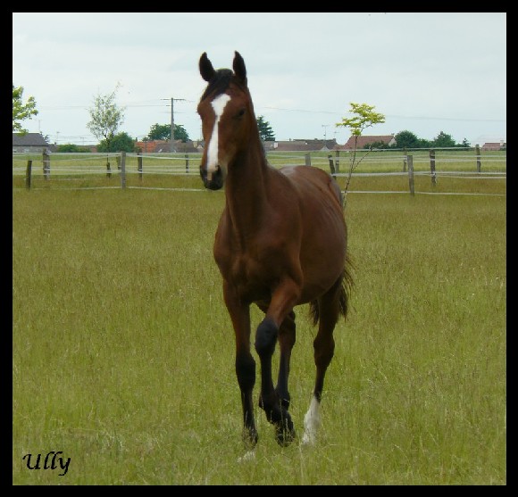 Photo de profil de tom09007