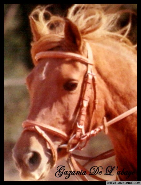 Photo de profil de jehlia