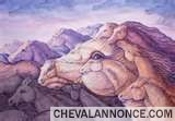 Photo de profil de louloup