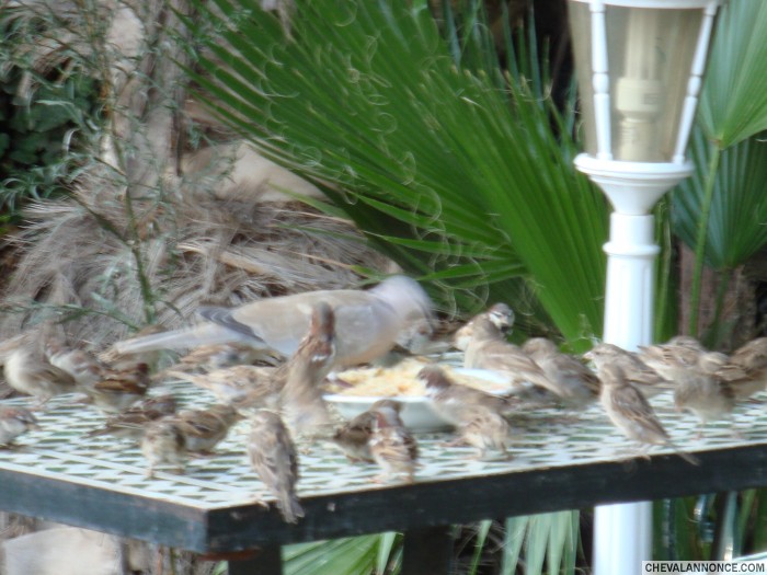 Photo de profil de nonam03