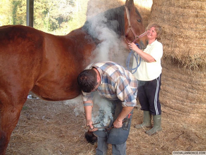 Photo de profil de calton