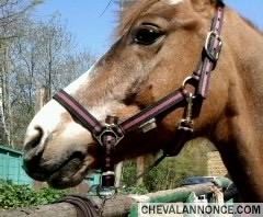 Photo de profil de quatuor5