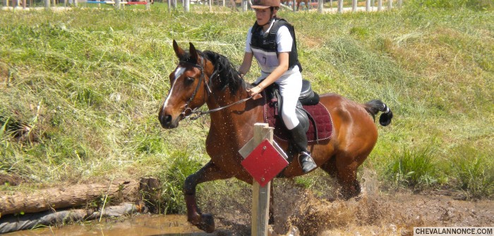 Photo de profil de fxequitation