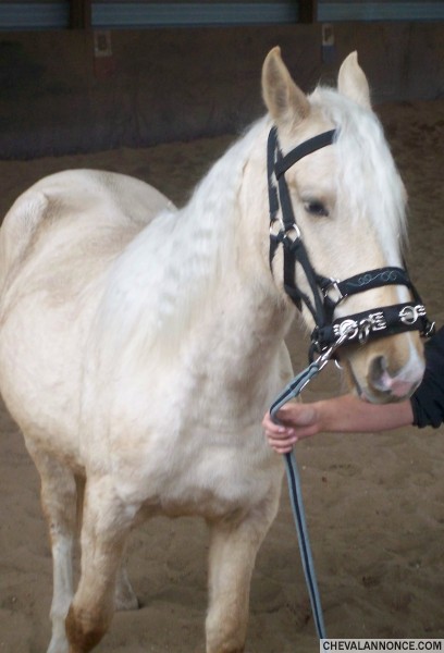 Photo de profil de tigger