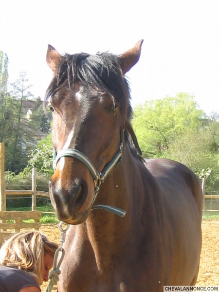 Photo de profil de quilda