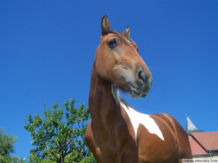 Photo de profil de manon71