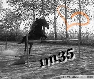 Photo de profil de zouzou59