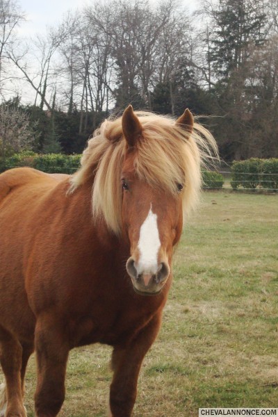 Photo de profil de kroline6319