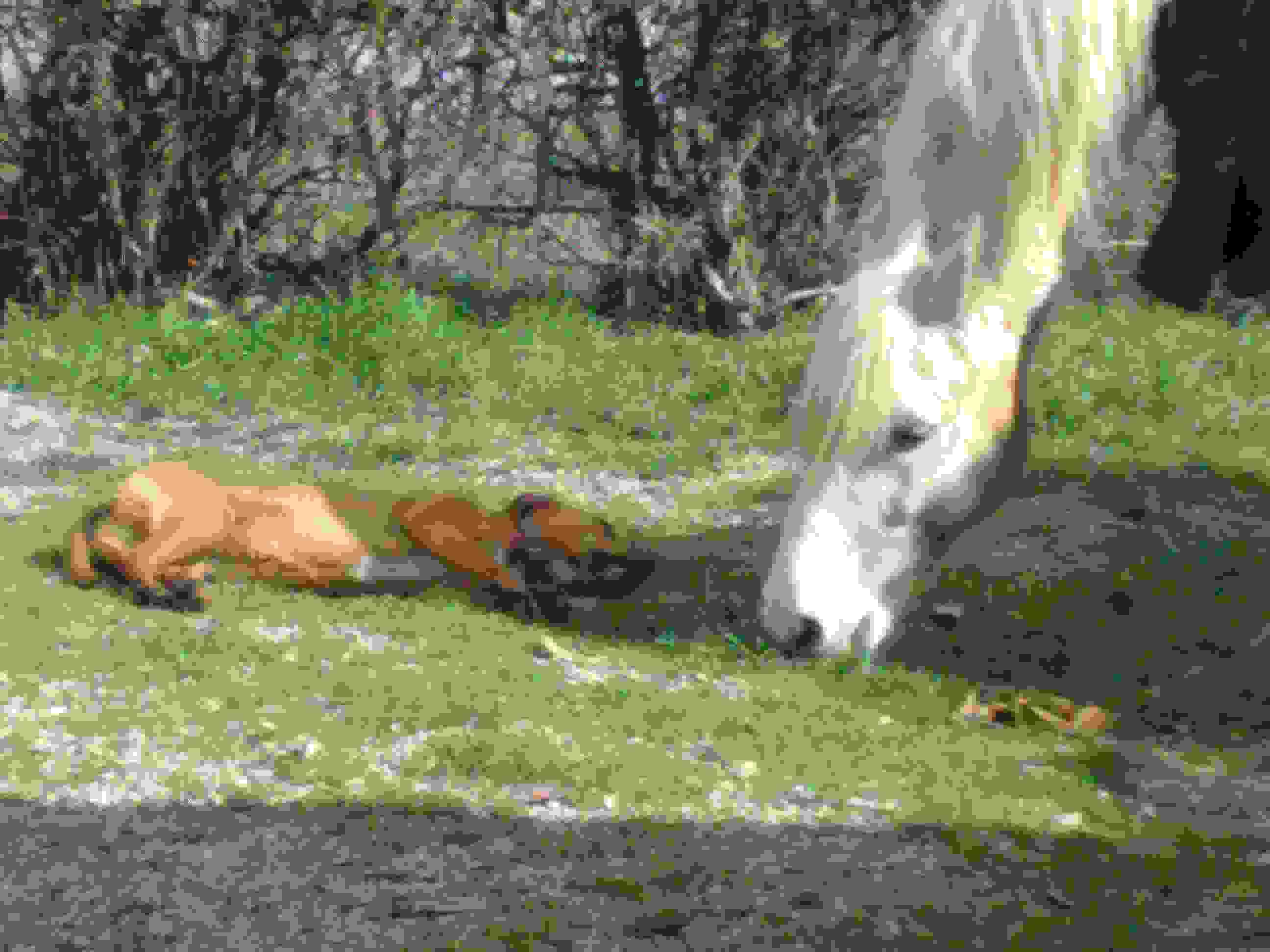 Photo de profil de ulsterpride