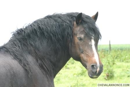 Photo de profil de dothon