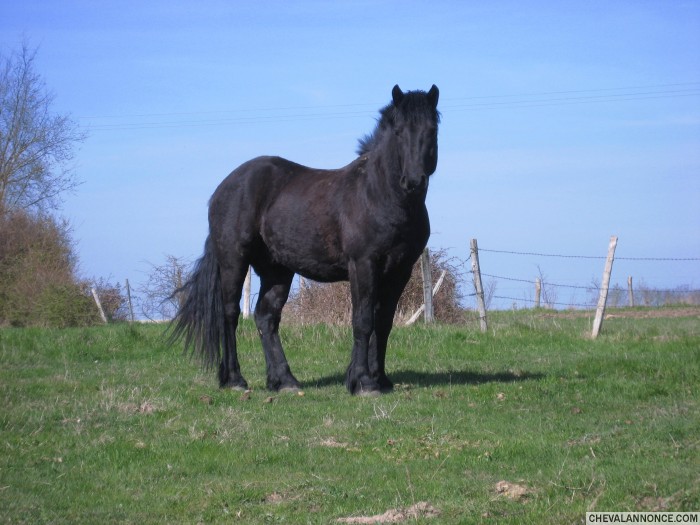 Photo de profil de liloo78