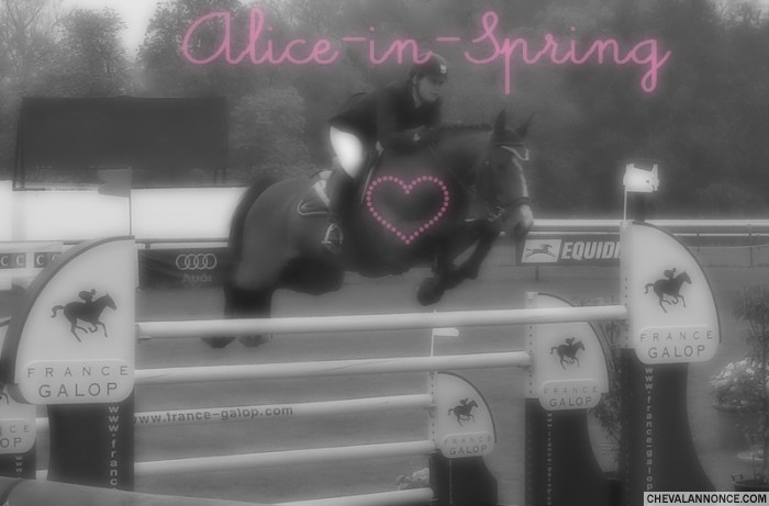 Photo de profil de alice-in-spring