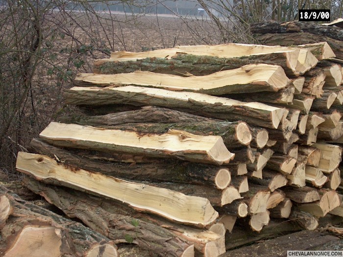 Photo de profil de bnono1410