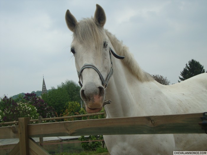 Photo de profil de queen002