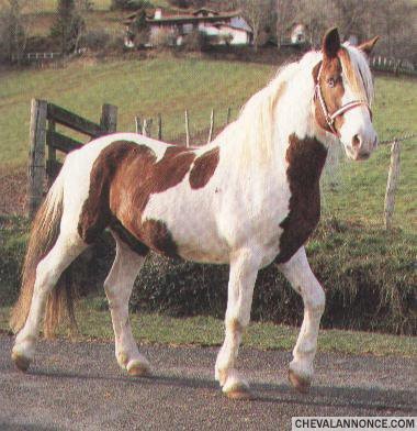 Photo de profil de quaquaouette