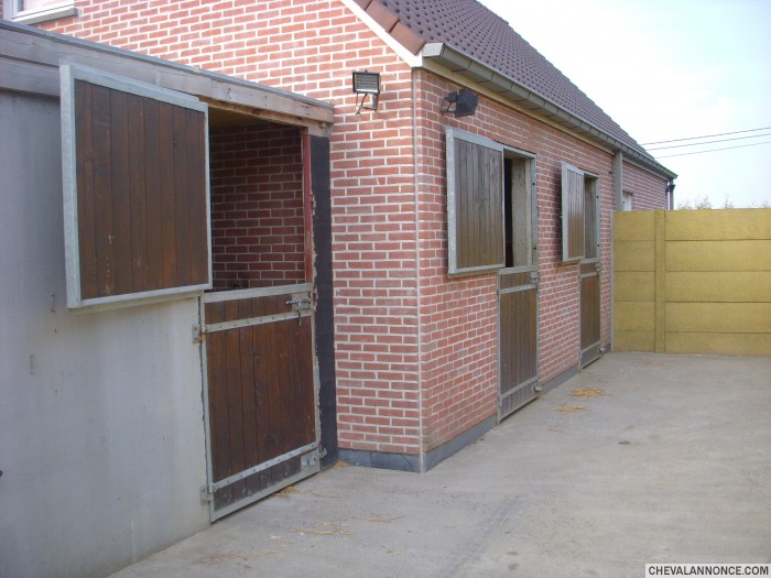 Photo de profil de jasfred4