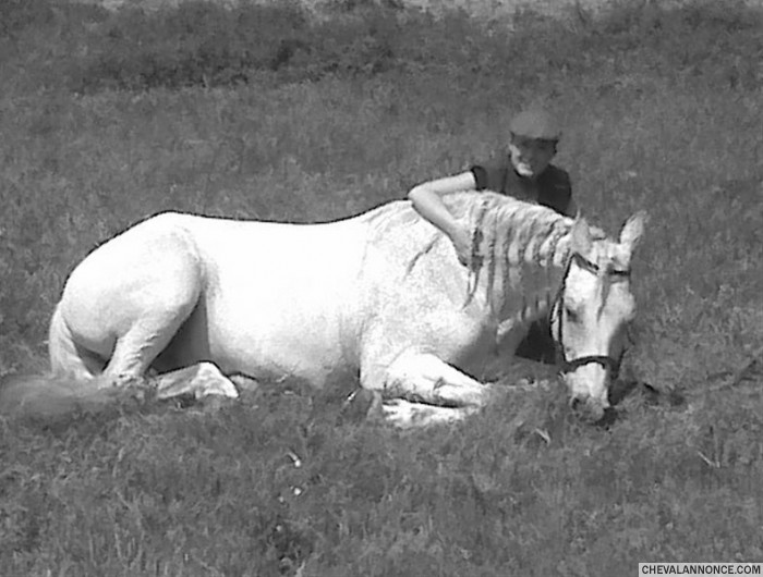 Photo de profil de guardiola