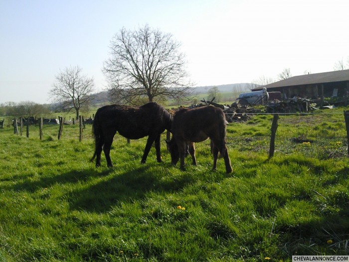 Photo de profil de yannock