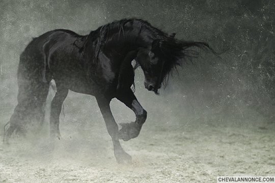 Photo de profil de clarab