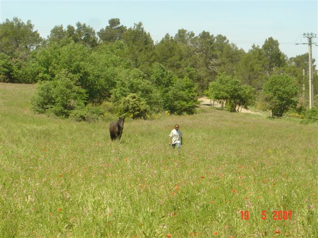 Photo de profil de verdon
