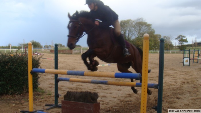 Photo de profil de martin35