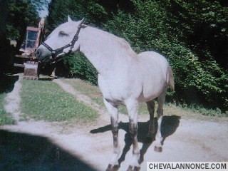 Photo de profil de lolitalegre