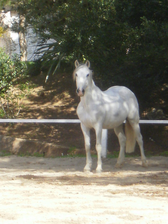 Photo de profil de viestelle