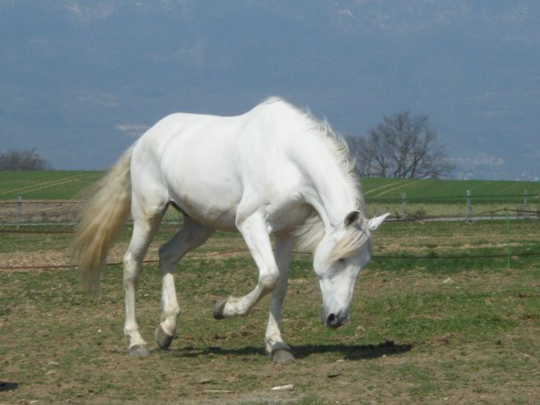 Photo de profil de vikia