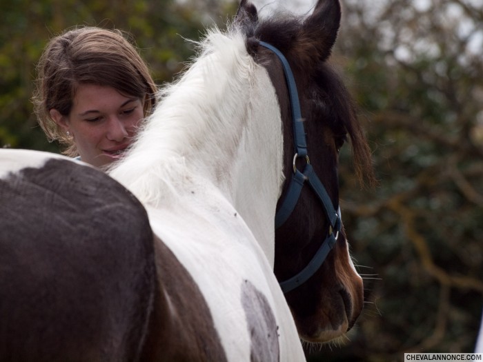 Photo de profil de fer-a-cheval