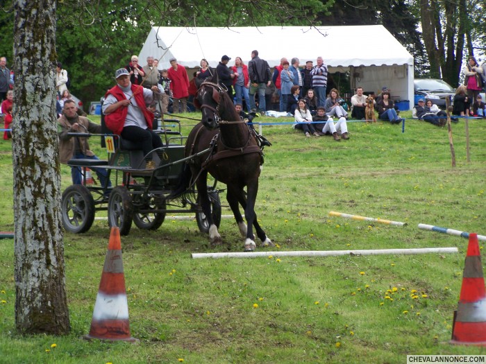 Photo de profil de antalix