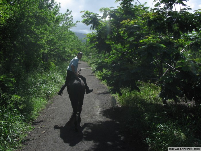 Photo de profil de ericjacquart