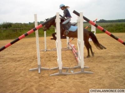 Photo de profil de reut231