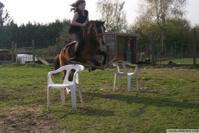Photo de profil de flyaway