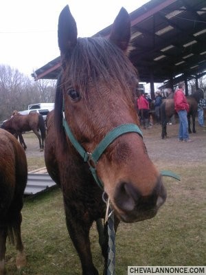 Photo de profil de leeeea