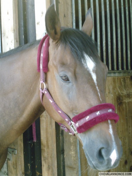 Photo de profil de claire.sartini