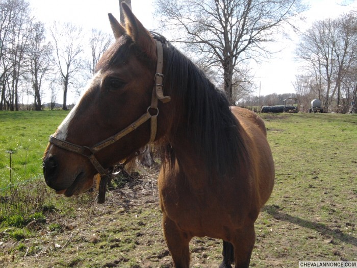 Photo de profil de gipsyxs