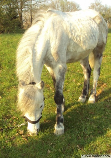 Photo de profil de exmeralda