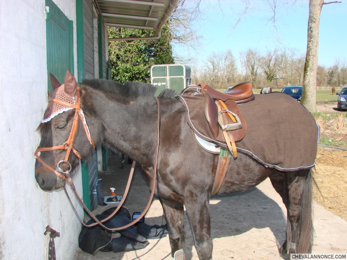 Photo de profil de poupette210